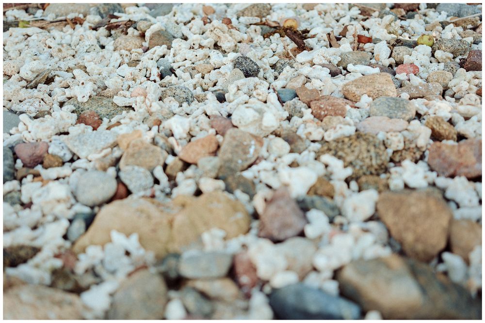 A continuous line of small pebbles and shells scattered across a sandy beach surface.
