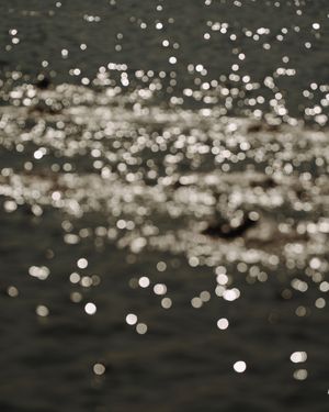 Sunlight sparkles on dark water creating a bokeh effect of scattered white dots across the surface.