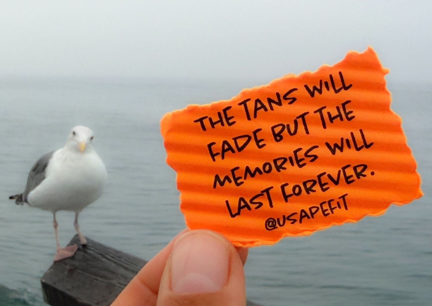 Hand holding orange note with inspirational quote about memories lasting forever in front of seagull on pier by ocean.