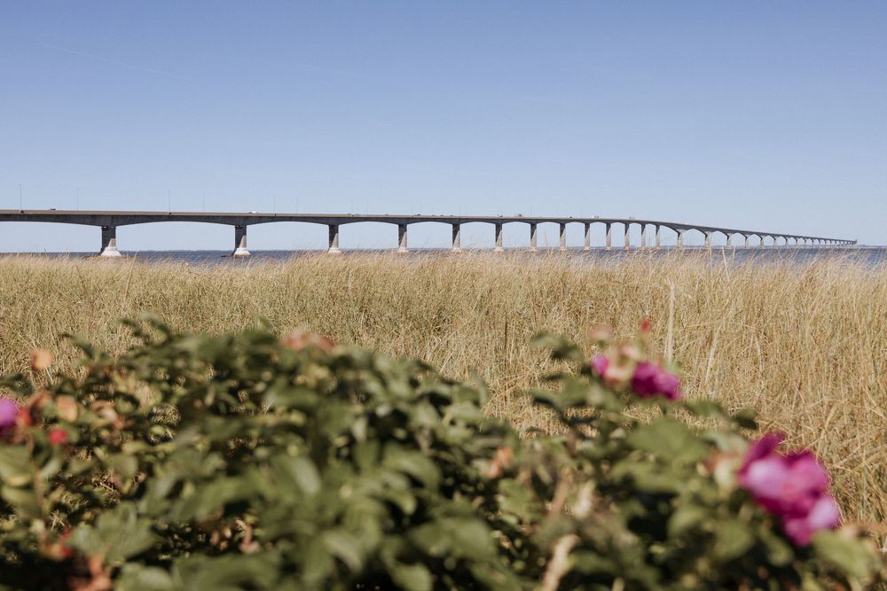 Confederation Bridge Cape Jourimain wedding elopement photography Port Elgin wedding photography wedding PEI summer fine art wedding
