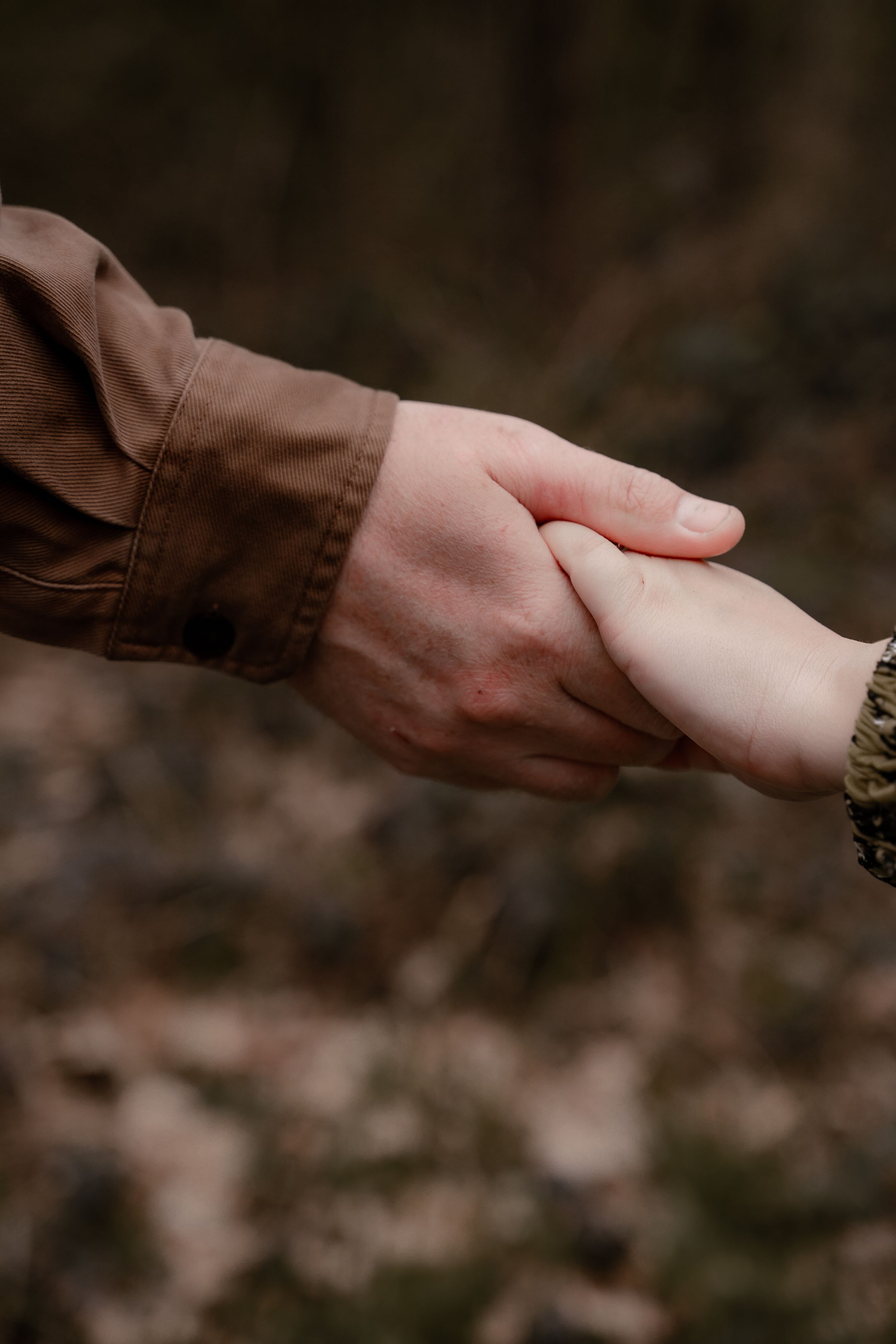 A sequence of hands reaching out to touch a white goose's feathers in a natural outdoor setting.