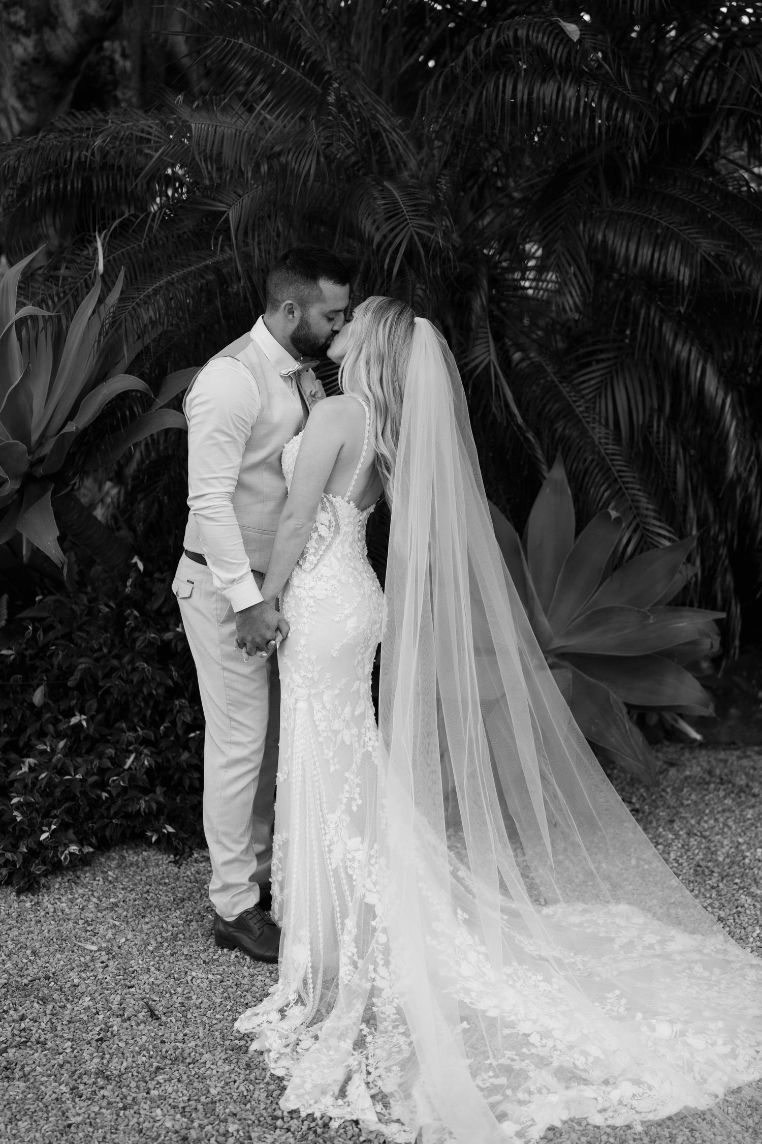 A romantic outdoor wedding photoshoot sequence showing a couple in white attire and flowing veil amid tropical foliage.