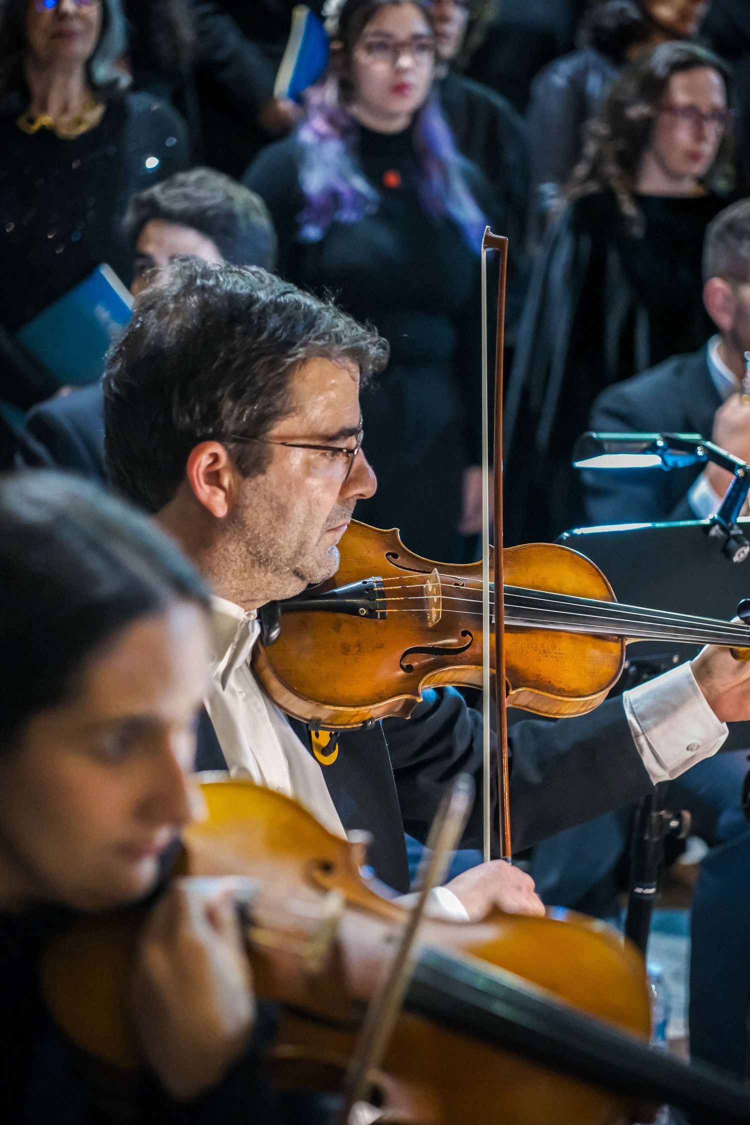 Orchestra musicians playing violins during a classical performance.