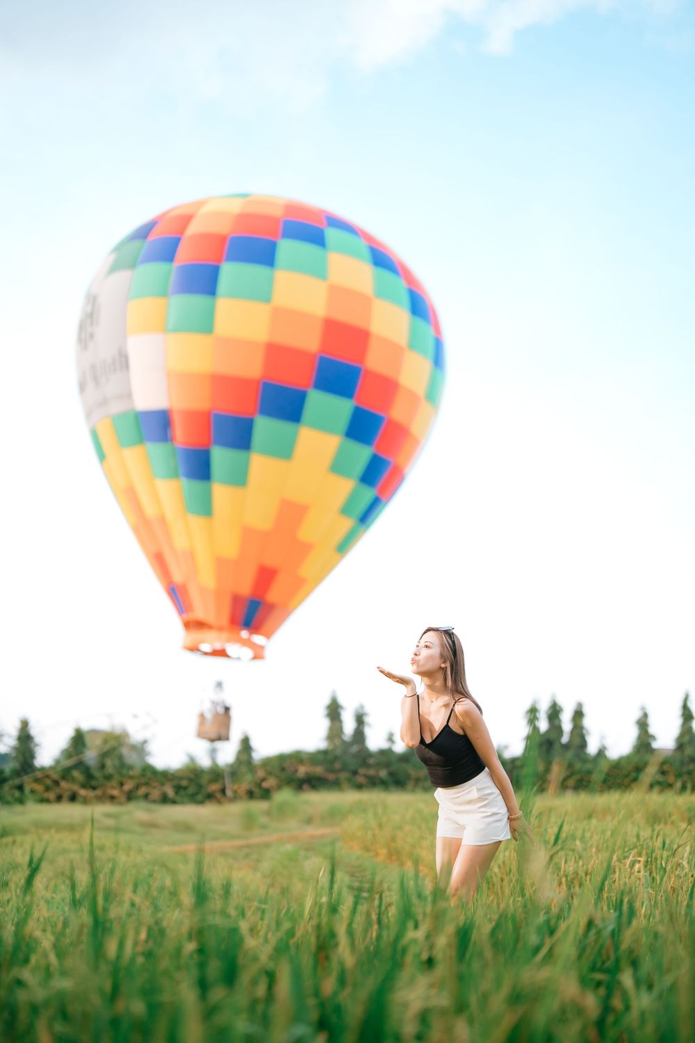 Hot air balloon with geometric patterns floating above a grassy meadow.