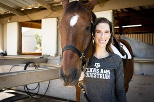 A person wearing a DC Equestrian shirt stands with a dark brown horse inside a stable.