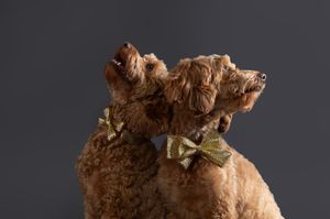 Elegant holiday photography in Bradenton studio creating timeless, luxurious portraits of pets and their loving owners with Christmas magic