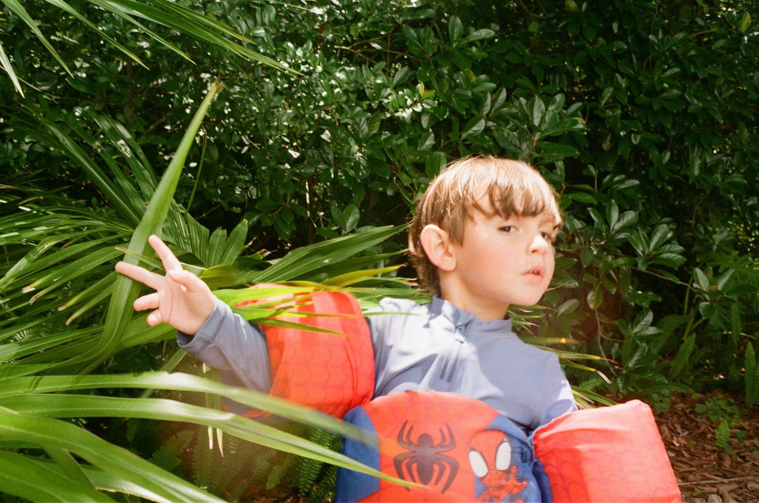 Someone playing with a toy sword among green leafy plants and palm fronds in a garden setting.