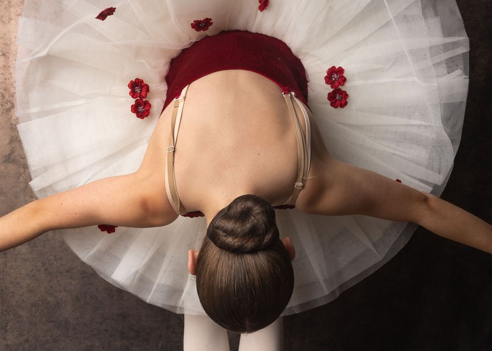 A artistic composition with red flower petals scattered across white tulle fabric creating a romantic mood and pattern.