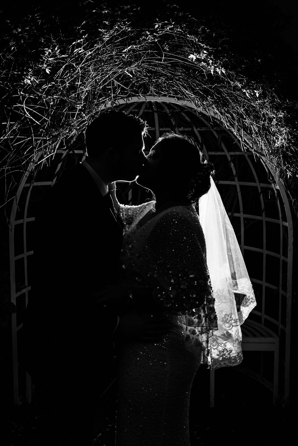 Black and white romantic silhouette of a couple embracing under a garden arch adorned with twisting vines.