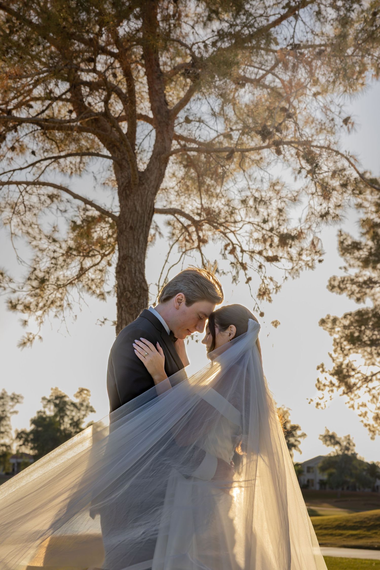 Bride and groom share romantic moment under tree, wrapped in flowing veil at golden hour.