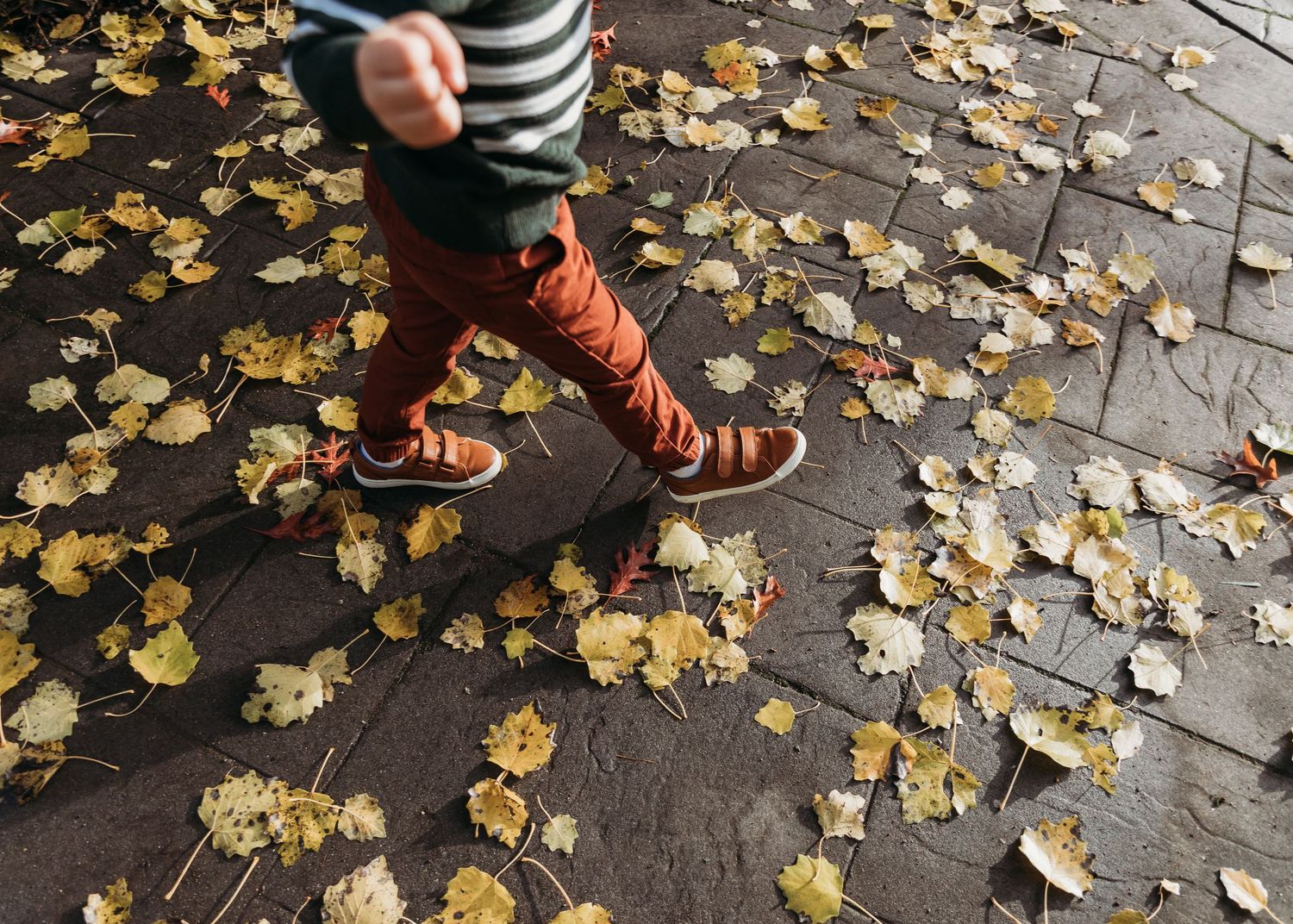 Autumn leaves scattered on a stone pathway with feet walking through creating an engaging pattern.