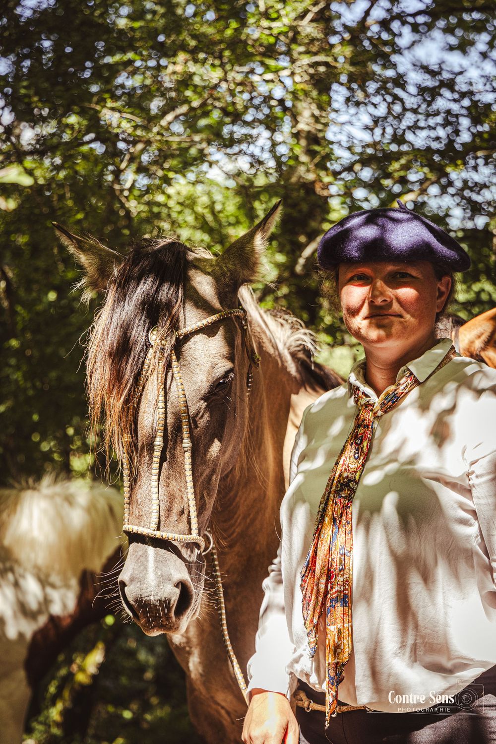elevage cheval