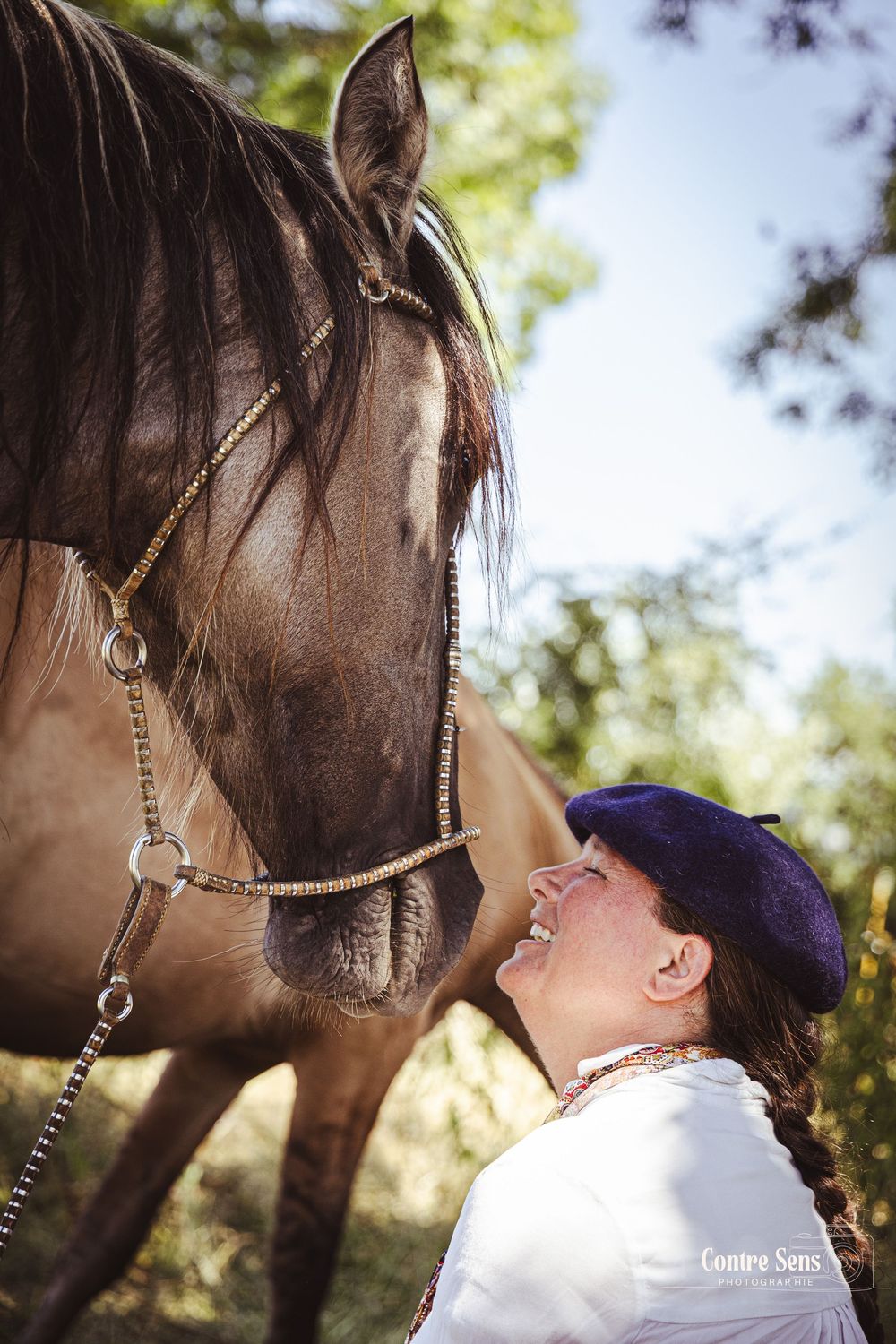 elevage cheval