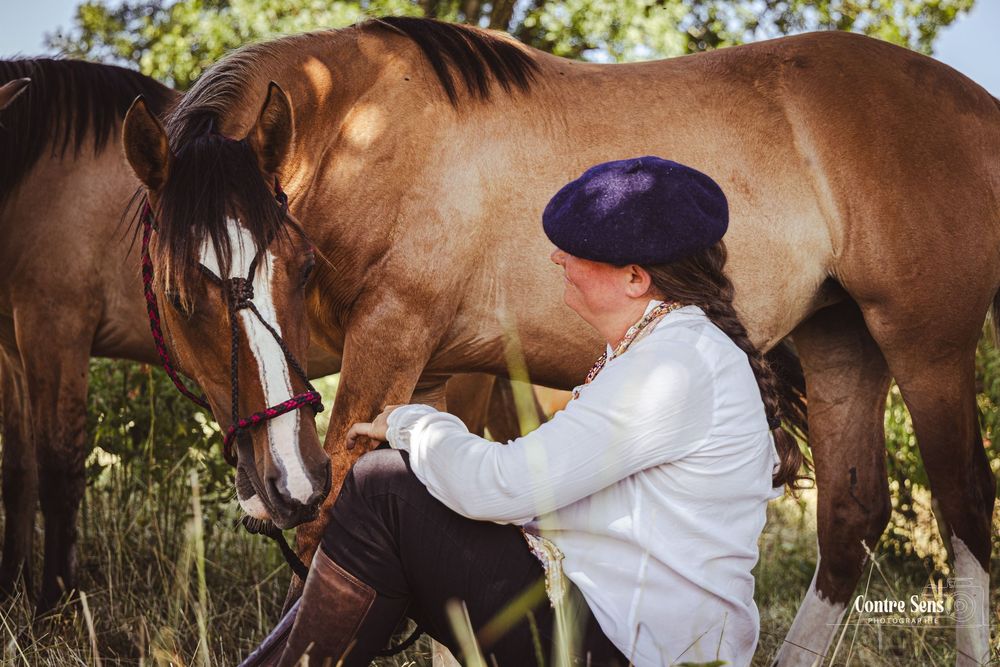 elevage cheval