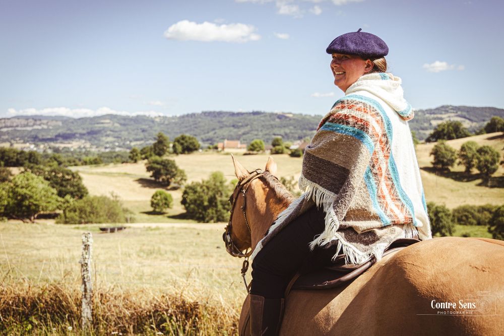 elevage cheval
