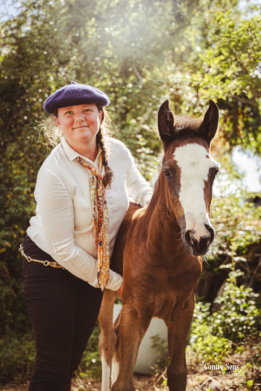 elevage cheval