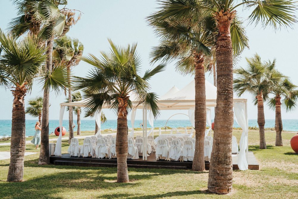 White wedding ceremony setup with chairs arranged between palm trees along a tropical beach coastline.
