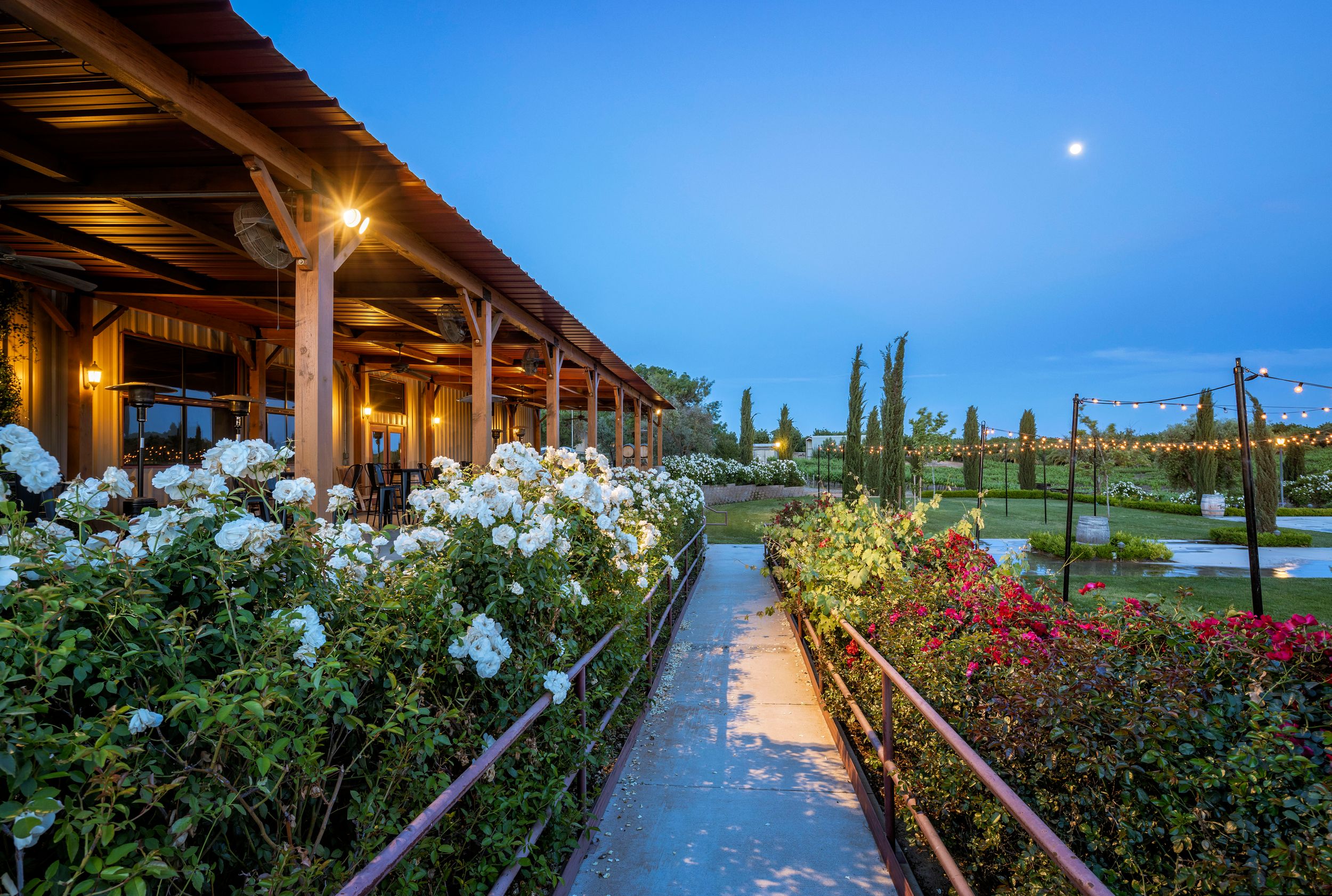 Garden pathway lined with blooming roses and covered patio at twilight.