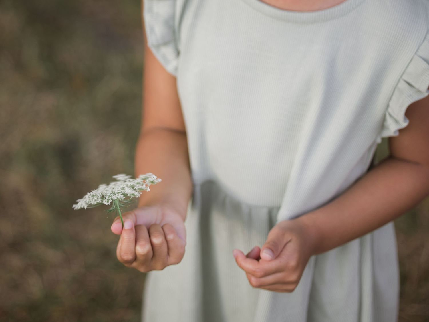 A close-up of hands holding delicate white baby's breath flowers against a soft white dress background.