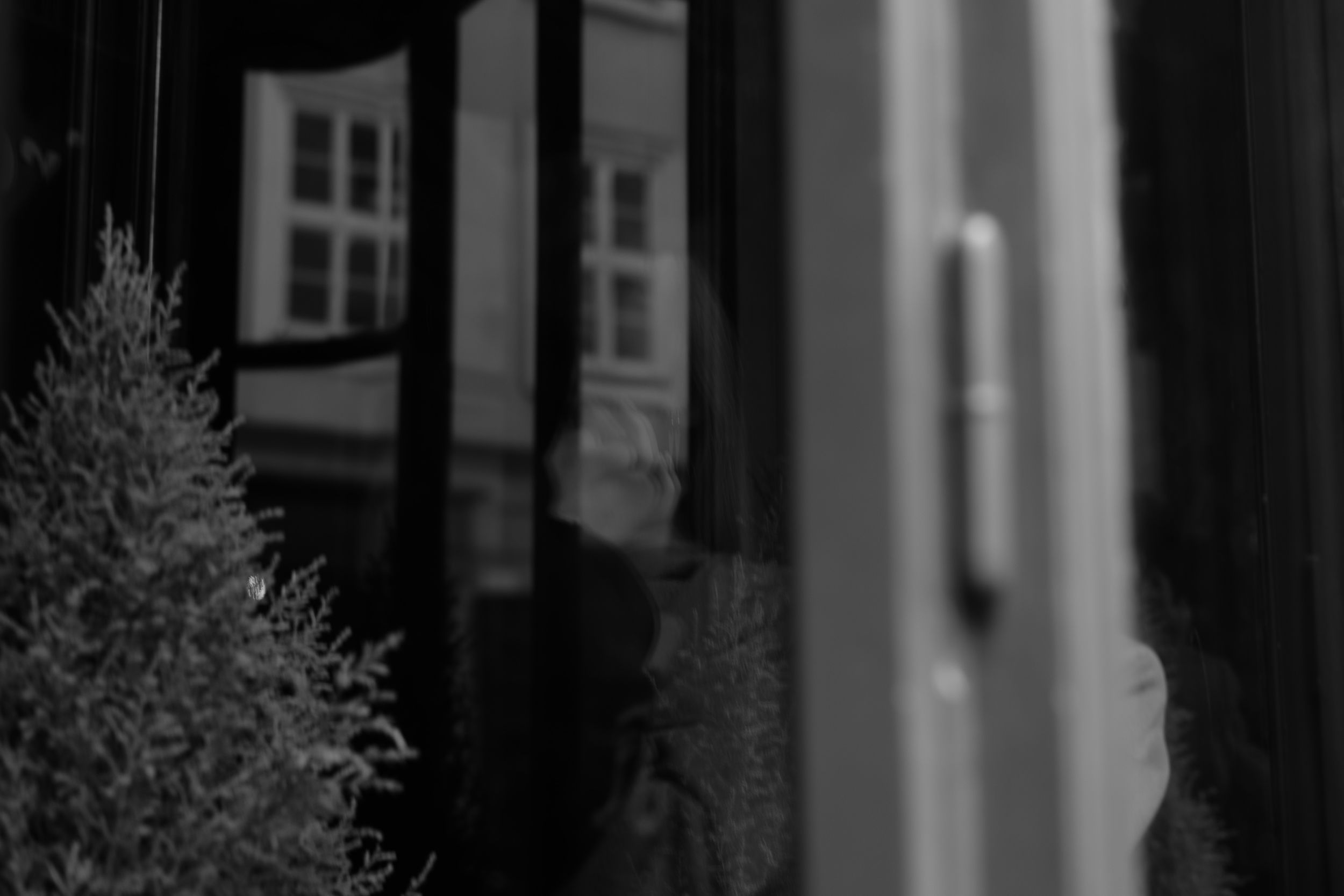 Black and white architectural detail showing a window frame and foliage in soft focus.