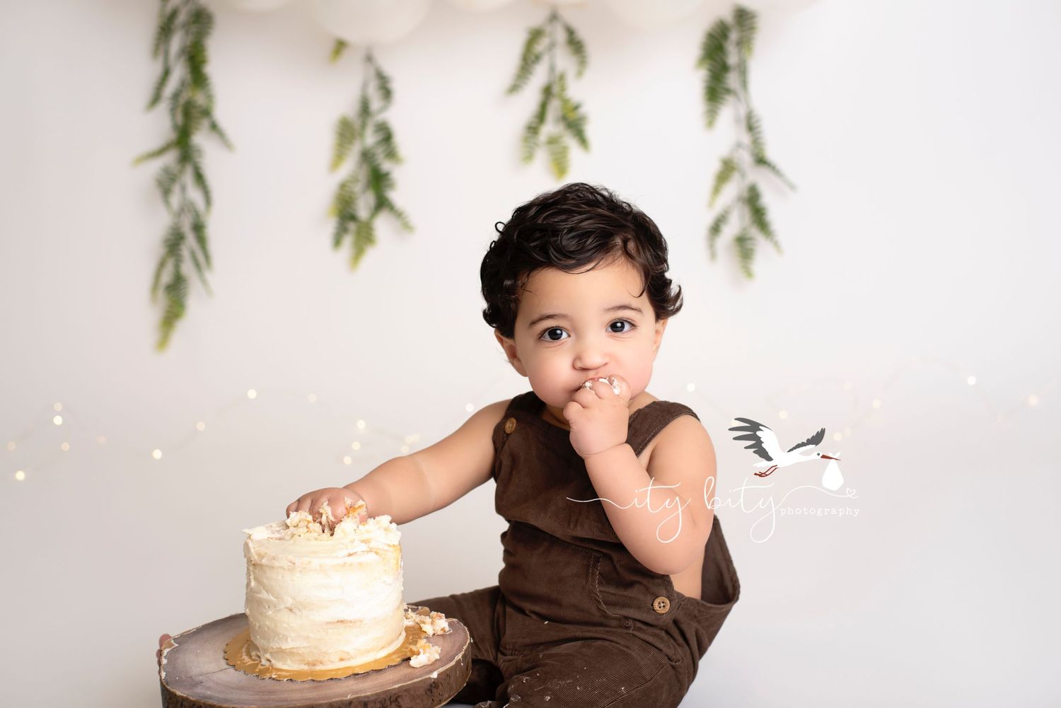 Akron One Year Cake Smash Photographer Photos