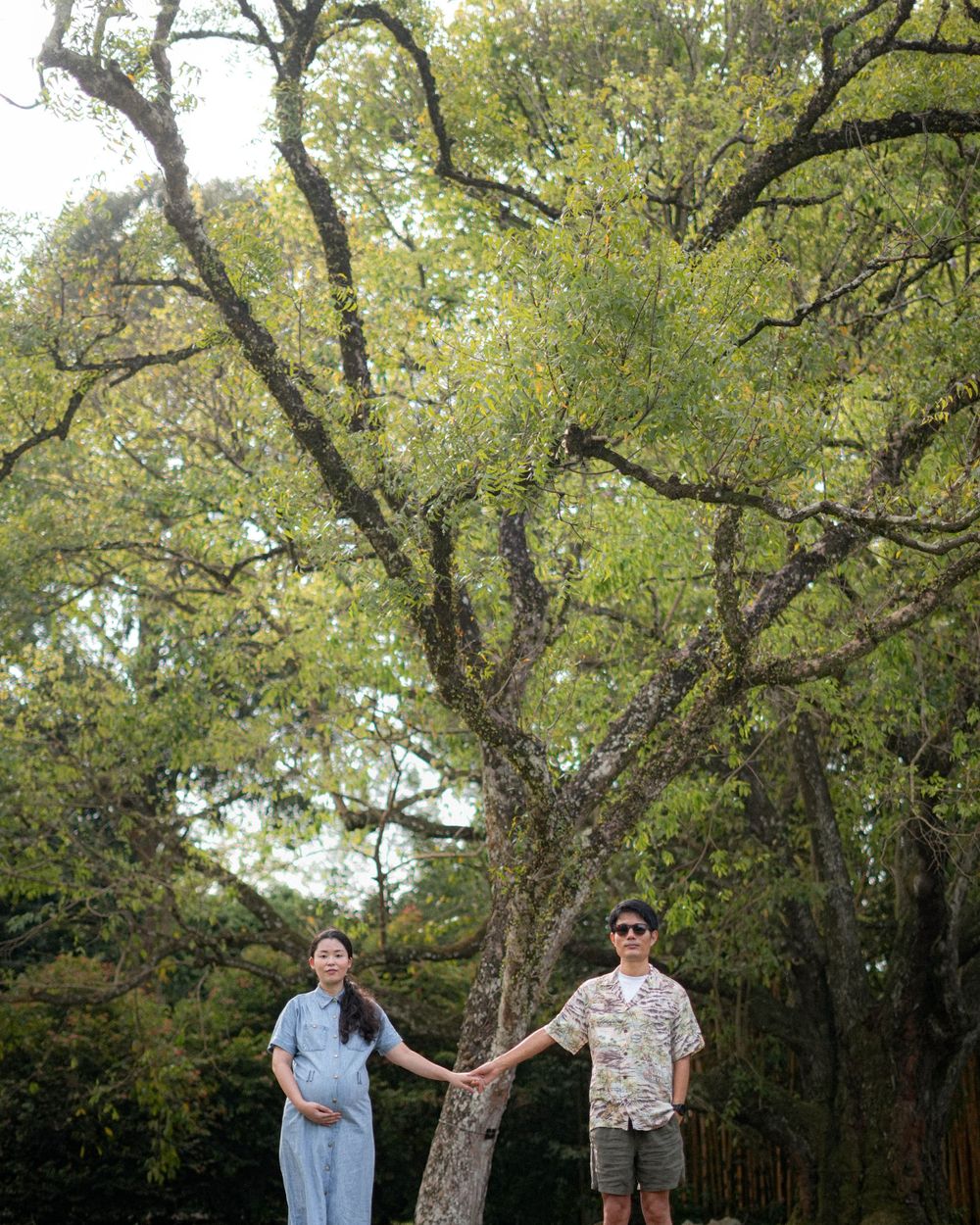 A couple poses under a majestic tree during their outdoor maternity photoshoot.