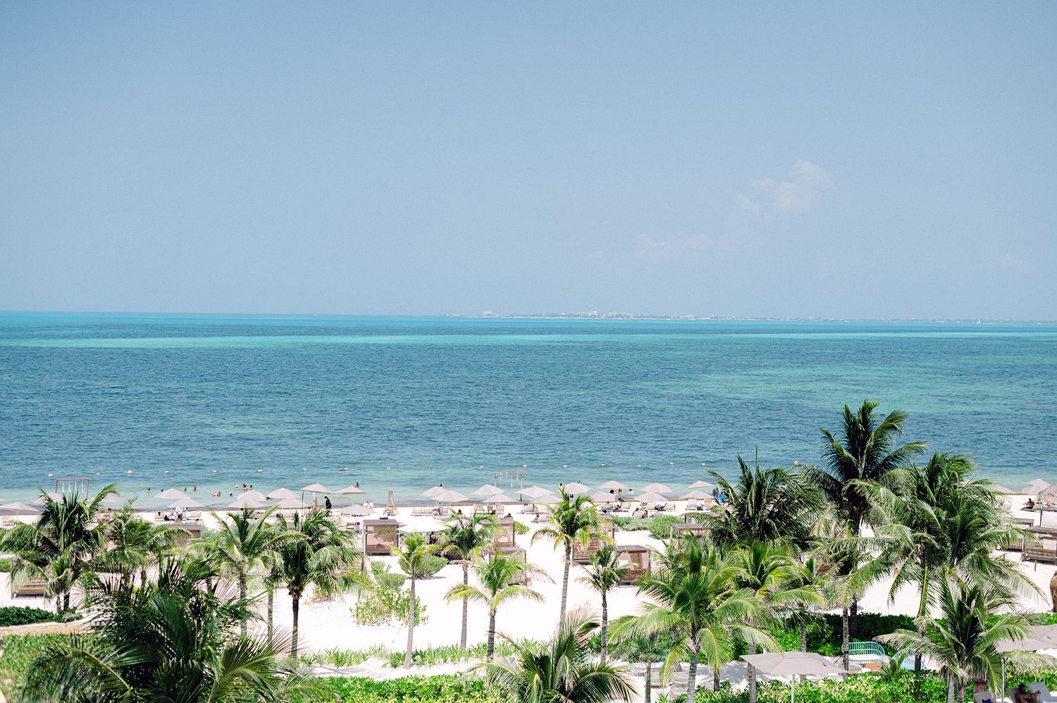 Tropical beachfront resort view with palm trees and turquoise ocean waters.