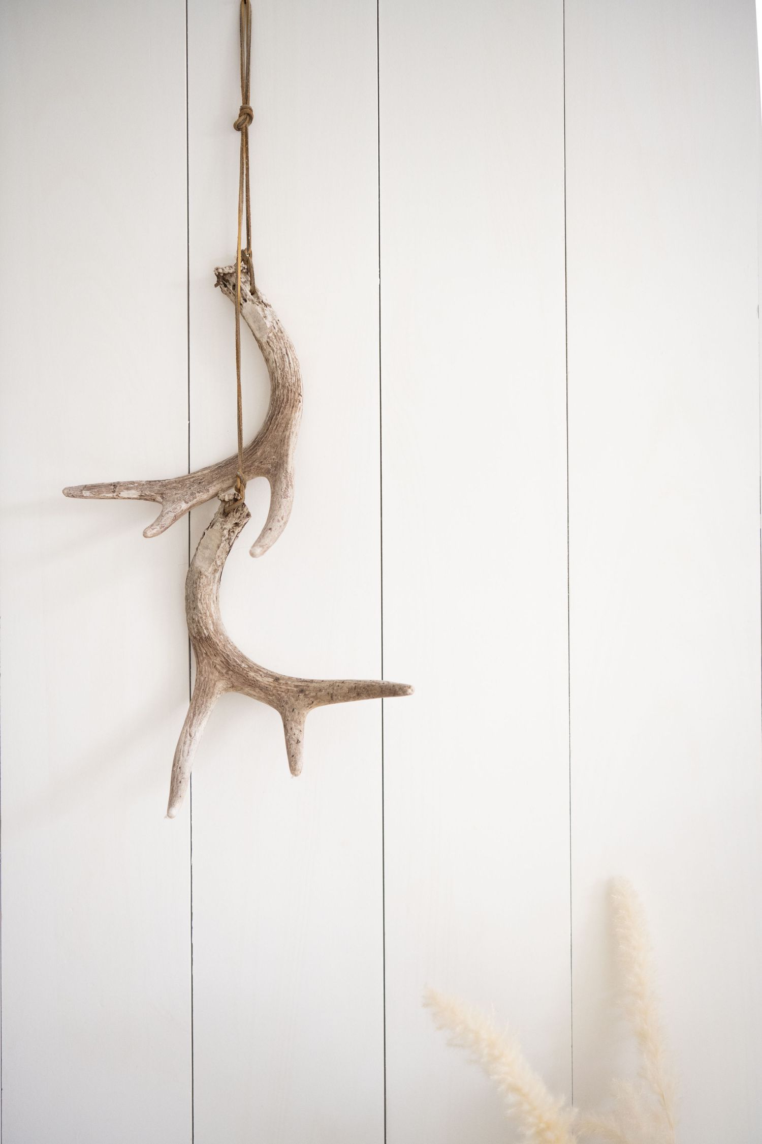 A rustic deer antler hangs by twine against a white wooden plank wall with a small dried floral accent below.