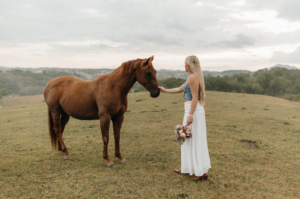 A serene countryside scene featuring a brown horse and someone in a white dress standing in a green field. Virginia graduation/senior sessio