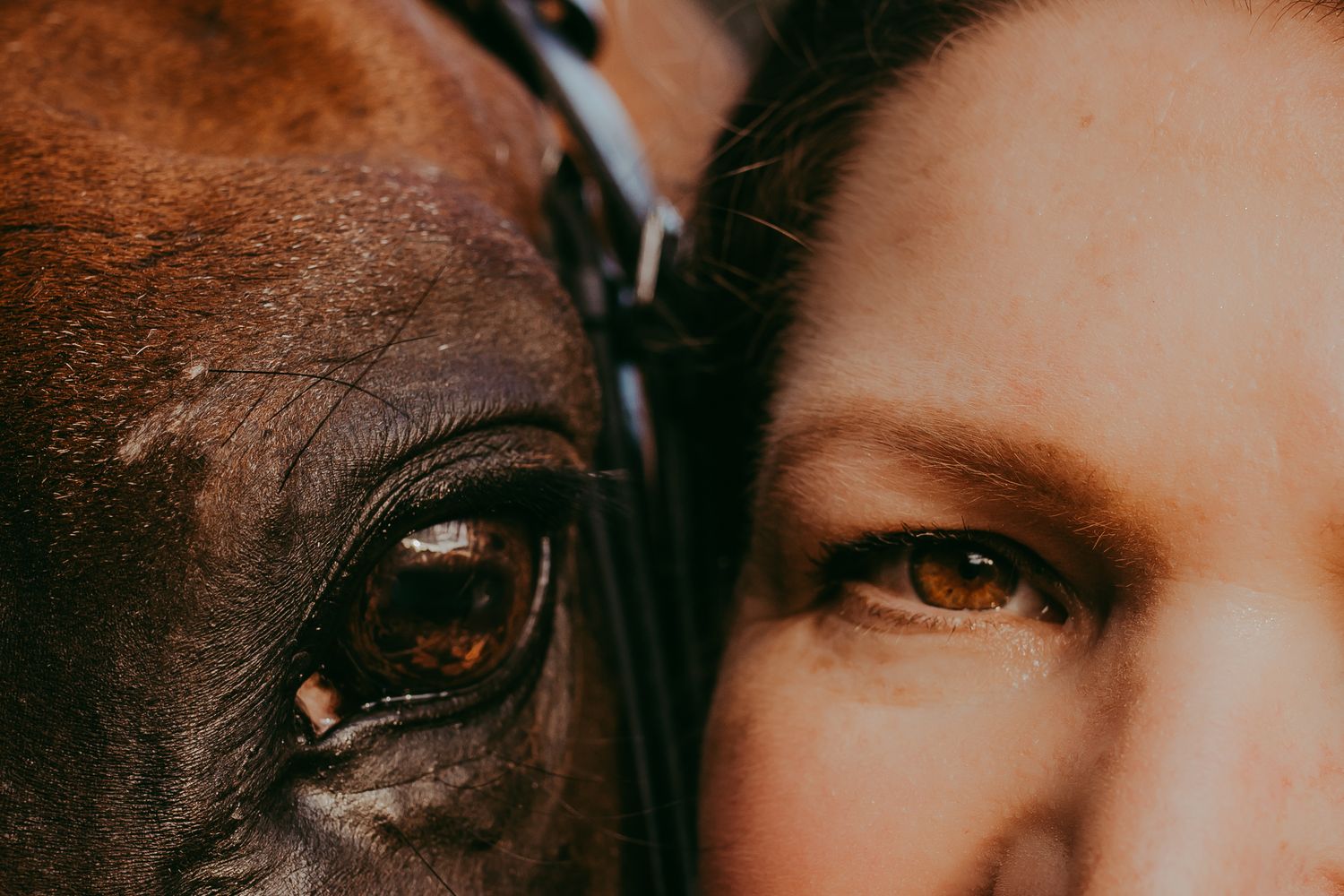 Close up of a horse eye and partial human face in intimate side-by-side portrait. Whitney Popp