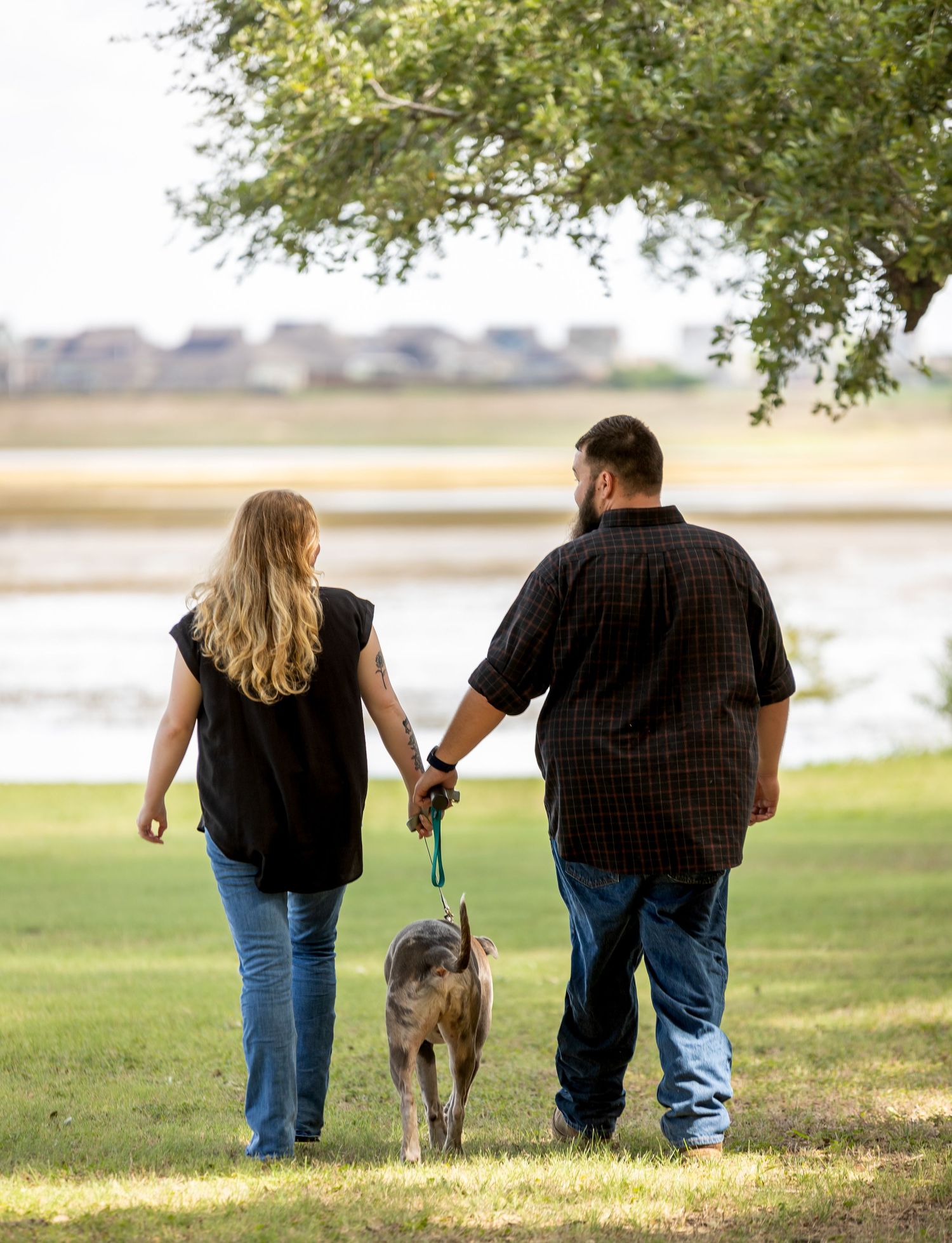 A couple walks their dog along a lakeside path under a tree on a peaceful summer afternoon.