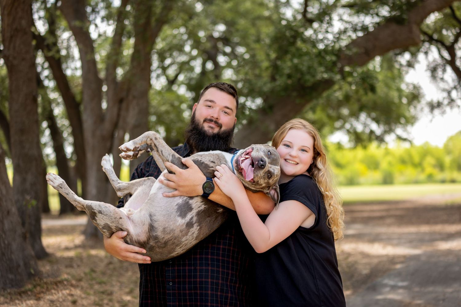 A couple holds their playful pit bull dog upside down while posing outdoors in a wooded area.
