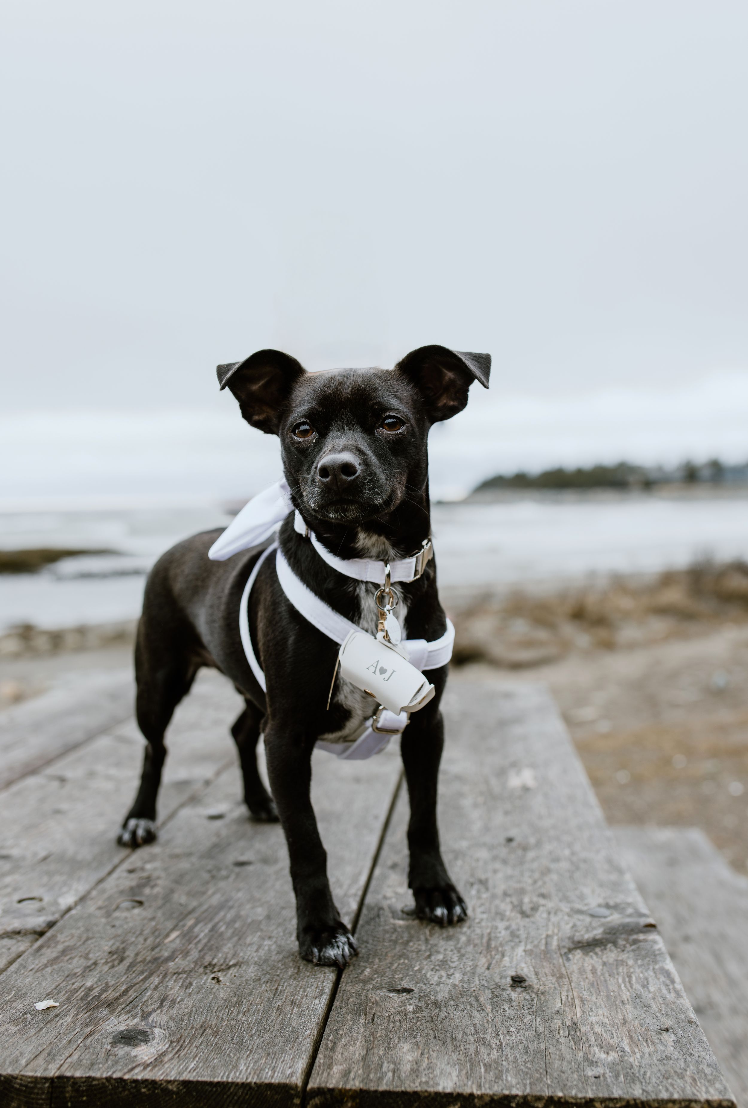 Elopement, Nova Scotia, Martinique Beach, Halifax Photographer, Prince Edward County Photographer, Adventure Elopement, Beach Elopement