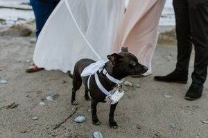 Elopement, Nova Scotia, Martinique Beach, Halifax Photographer, Prince Edward County Photographer, Adventure Elopement, Beach Elopement