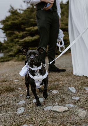 Elopement, Nova Scotia, Martinique Beach, Halifax Photographer, Prince Edward County Photographer, Adventure Elopement, Beach Elopement