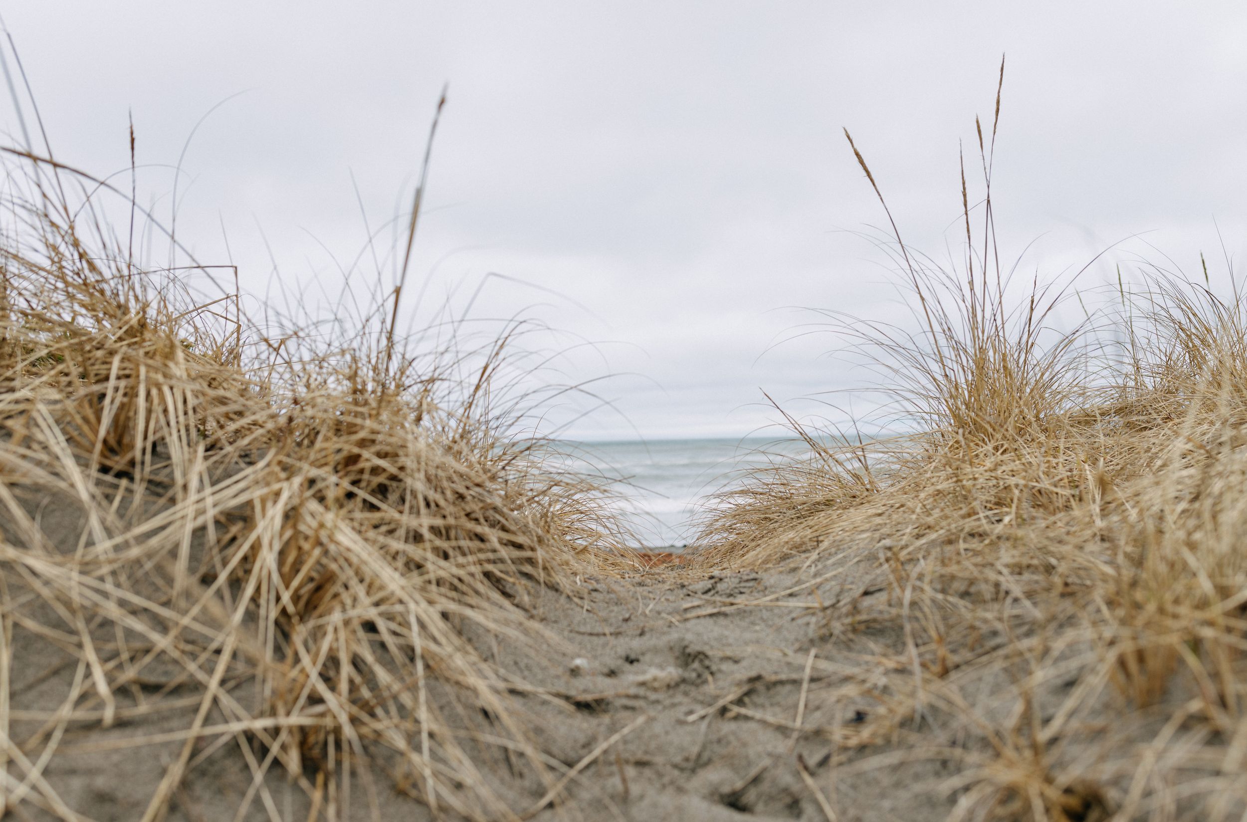 Elopement, Nova Scotia, Martinique Beach, Halifax Photographer, Prince Edward County Photographer, Adventure Elopement, Beach Elopement