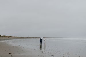 Elopement, Nova Scotia, Martinique Beach, Halifax Photographer, Prince Edward County Photographer, Adventure Elopement, Beach Elopement