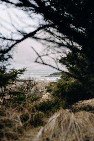 Elopement, Nova Scotia, Martinique Beach, Halifax Photographer, Prince Edward County Photographer, Adventure Elopement, Beach Elopement