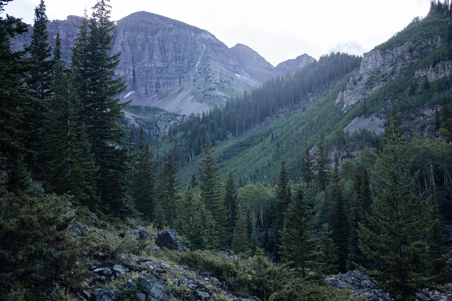 Majestic mountain peaks and evergreen forests create a dramatic landscape vista.