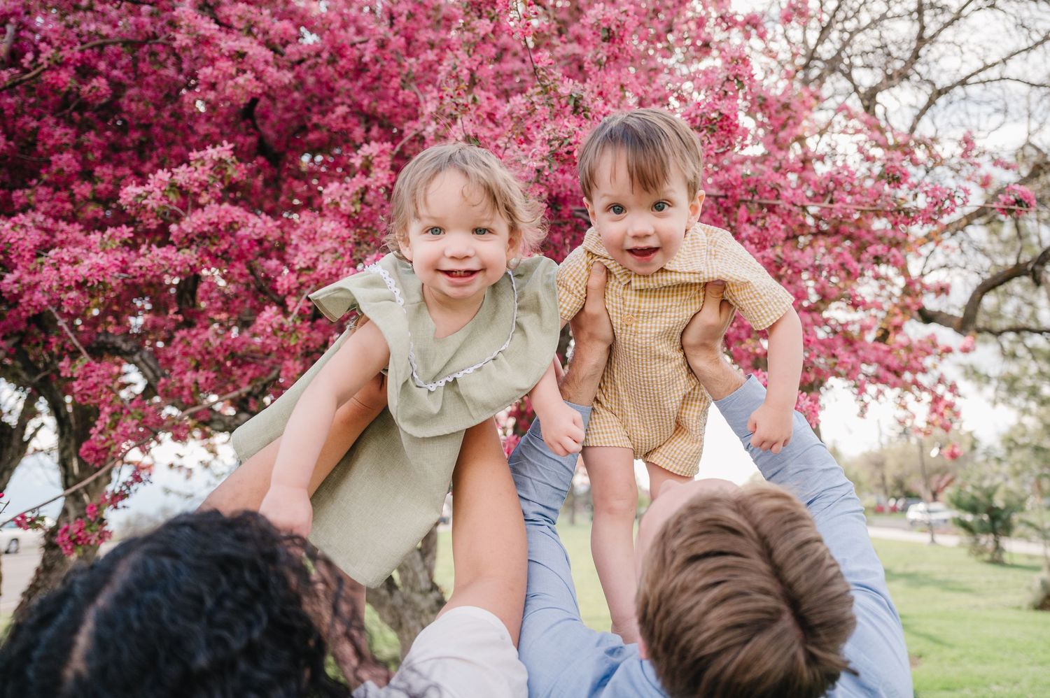 Two young children being lifted up against a blooming pink cherry blossom tree in a spring park setting.