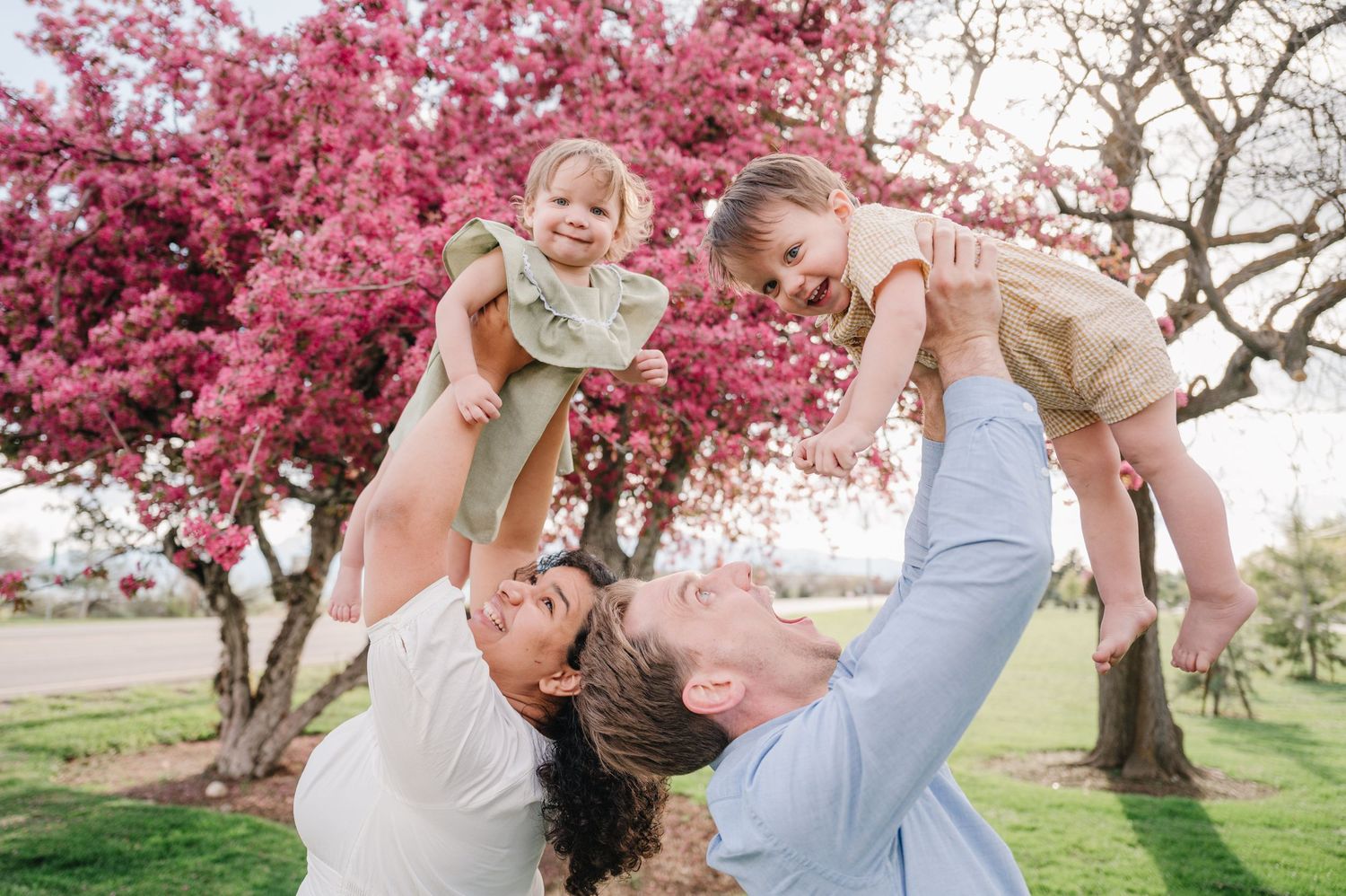 Playful family moment captured under blooming pink cherry blossom trees in a spring park setting.