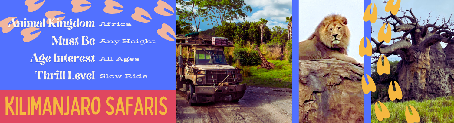 Safari collage showing Kilimanjaro landscape, majestic lion, and bright blue travel poster advertising African adventures.