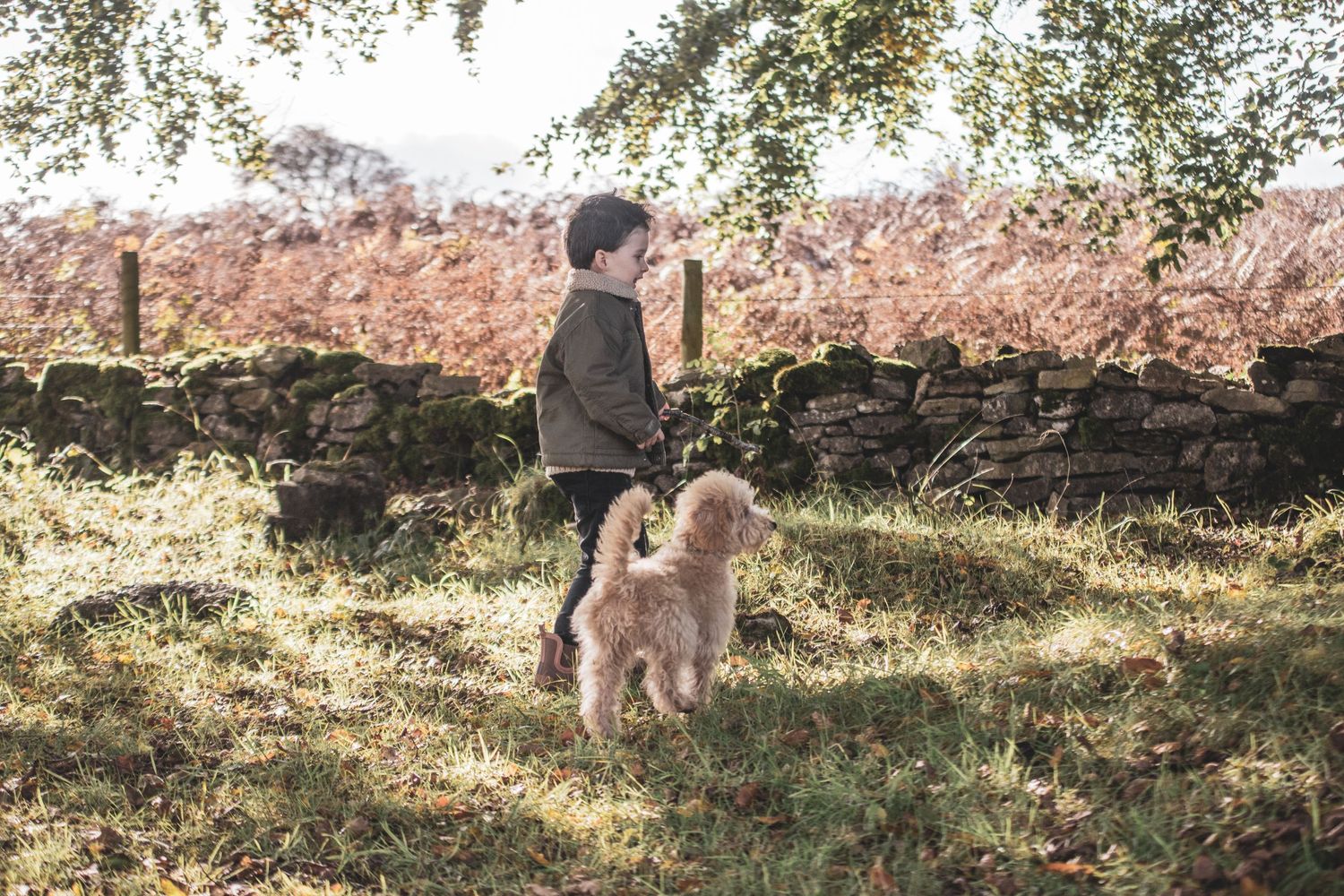 Families and Couples portfolio, Emma Laws Photography
