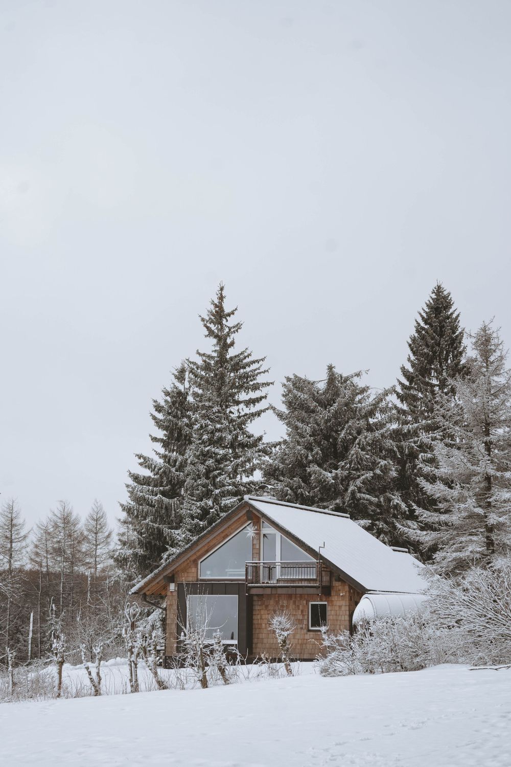 Rustic cabin with snow-covered roof nestled among tall evergreen trees in winter.