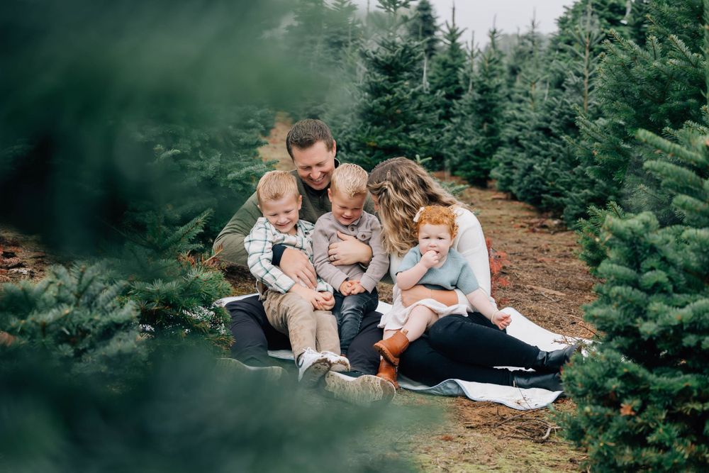 Happy family of five sitting together and laughing among rows of Christmas trees at a farm.