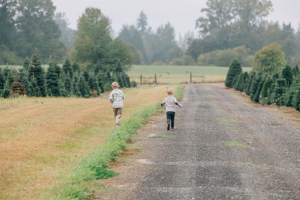 Two young children running down a gravel road lined with Christmas trees on a misty day.