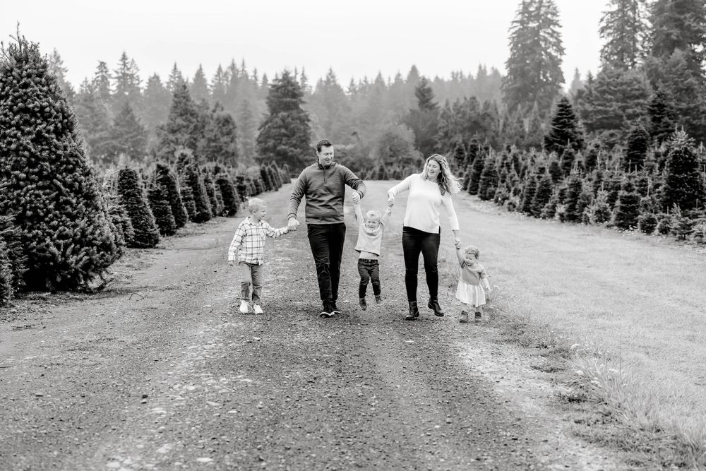 Black and white photo of a family of four holding hands walking down a tree-lined path at a Christmas tree farm.