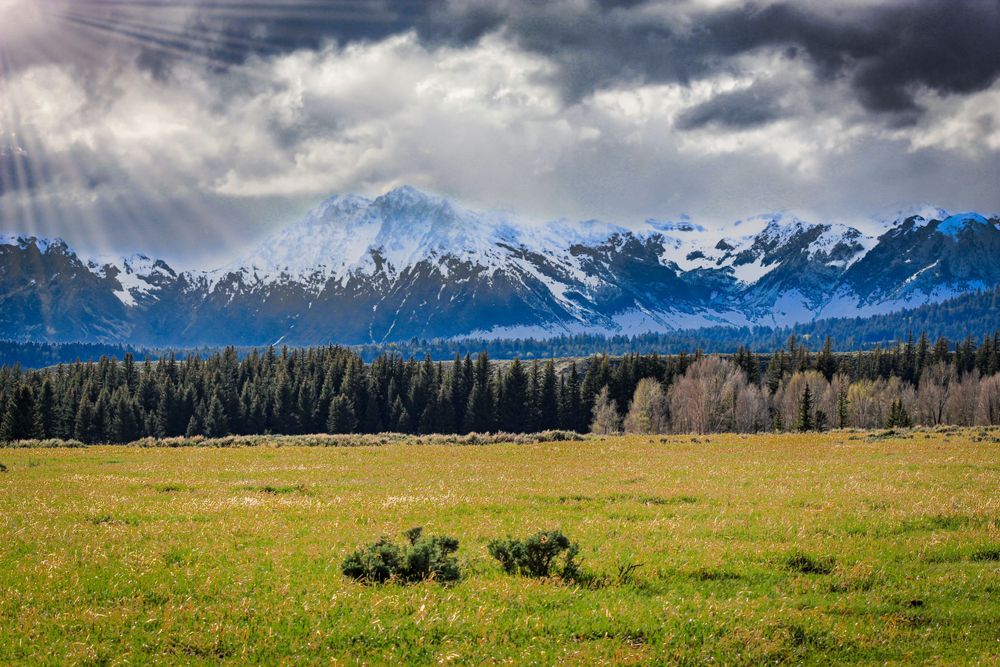 Landscape