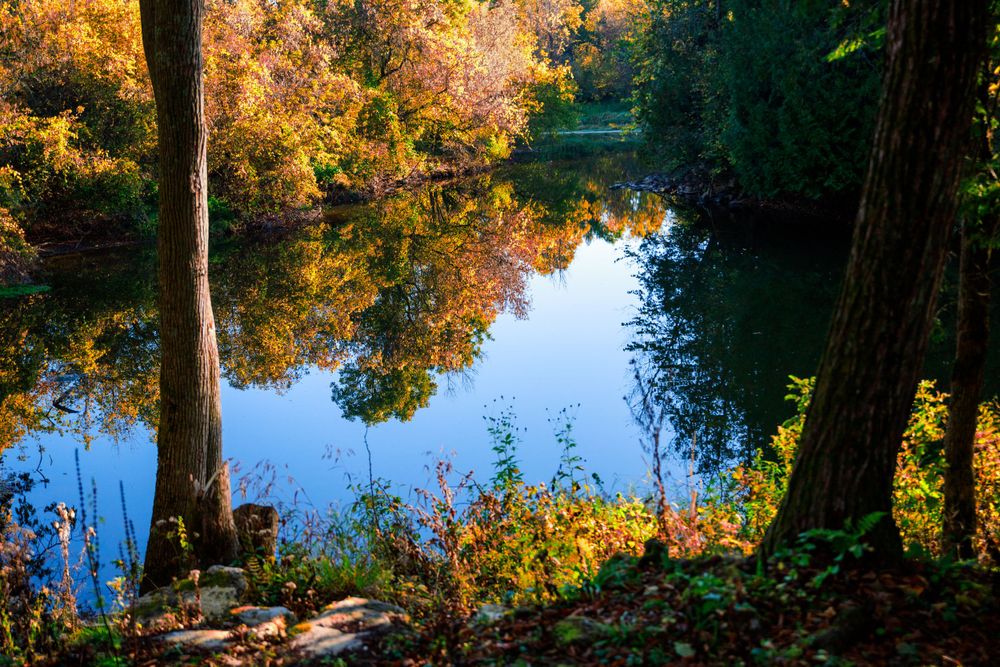 Landscape