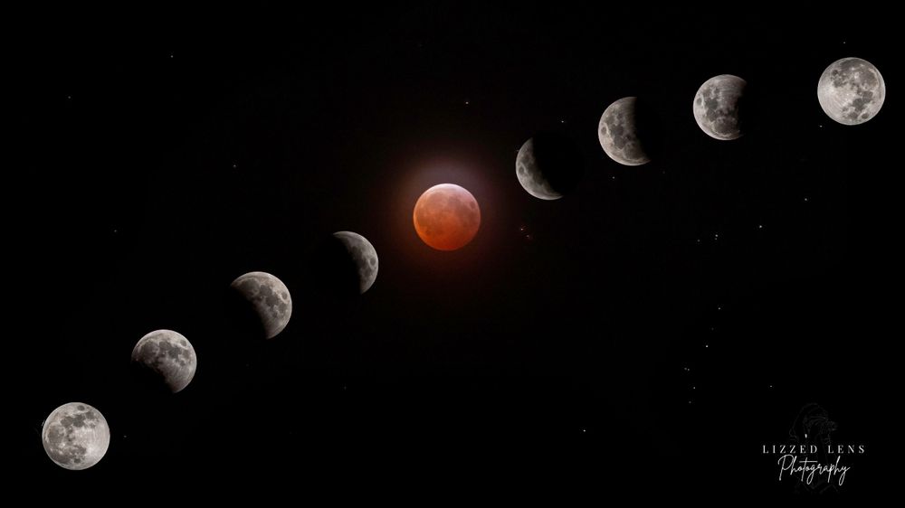 Composite image showing all phases of a lunar eclipse including a vivid blood moon center stage.